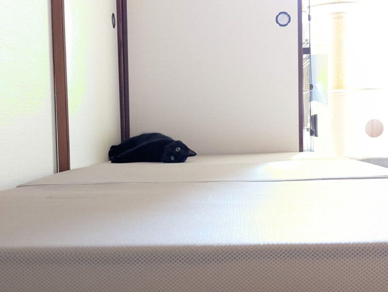 三つ折りマットレス