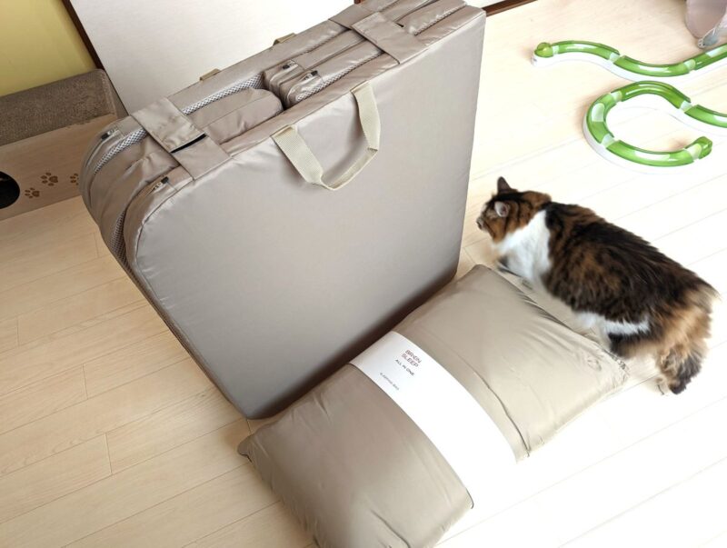 ブレインスリープ オールインワン