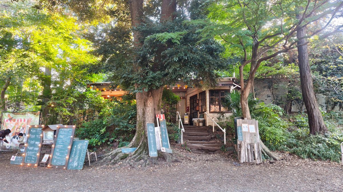 ブルースカイコーヒー