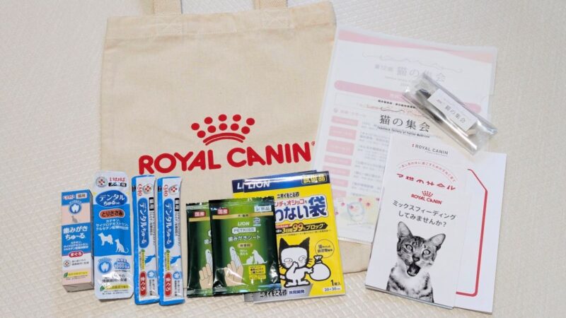 猫の集会でいただいたもの