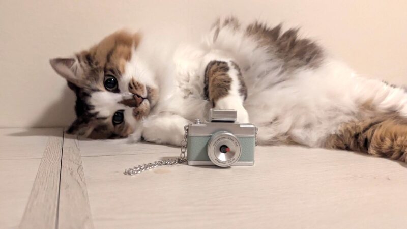 スリーコインズのトイカメラ